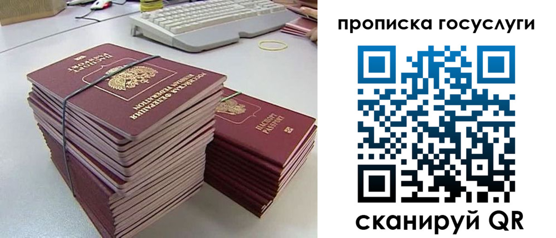 временная регистрация для школы в Чудово